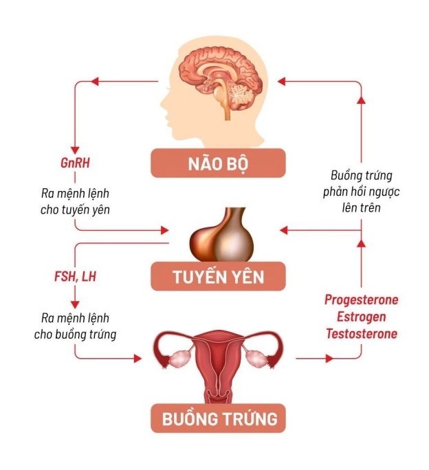 kinh nguyệt màu đen