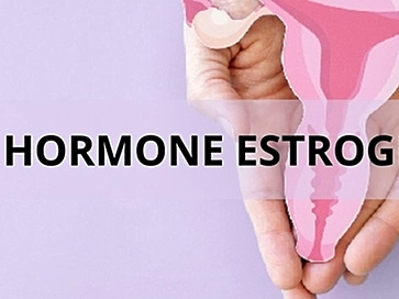 Hormone estrogen là gì? Ảnh hưởng thế nào đến tuổi dậy thì?