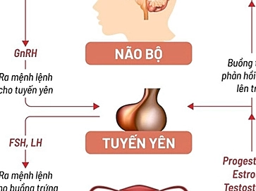 Kinh nguyệt màu đen vón cục - Bạn gái nên làm thế nào?